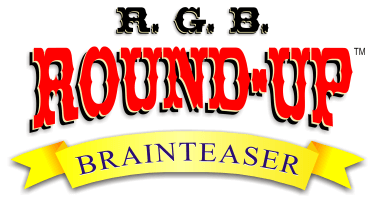 round-up logo big